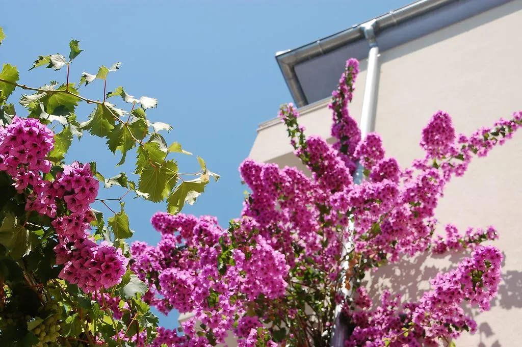 Apartments Alajbeg Trogir